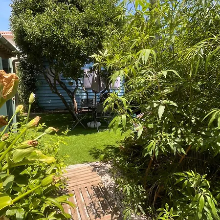 Indépendant Dans Appartement *