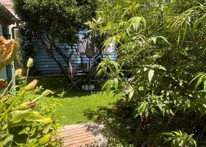 Indépendant Dans Appartement *